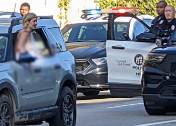 [이런일도] LA도심 나체 여성 대치극에 출근 길 교통대란