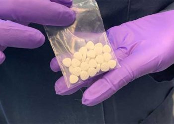 20대 청년 발렌시아 자택 앞 숨진 채 발견 … 신종마약 ‘니타진’ 비상