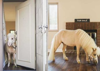 [화제] 침체 부동산 시장 뚫은 이색 매물홍보 … 관심 폭발적