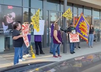 쥐떼 우글거리는 LA 식당 … 직원들이 보건국에 신고, 매장 폐쇄