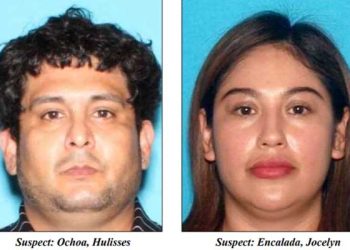 기상천외한 수법, 카워시 털이 커플 절도단 덜미