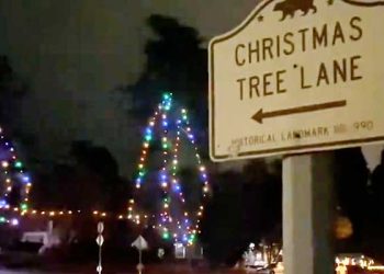 알타디나 ‘크리스마스 트리 레인’, 재건의 불 밝힌다