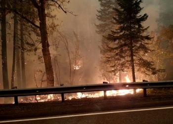 워싱턴주 최악의 산불 급속 확산 중 … 수천 명 대피, 진화율 5% 불과