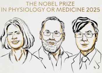 미국·일본 생물학자 3인 노벨의학상 수상 .. 자가면역질환 방지세포 발견