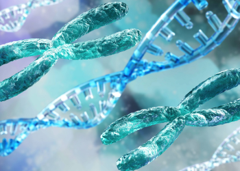 왜 남자가 여자보다 먼저 죽을까?…과학계의 유력 해답