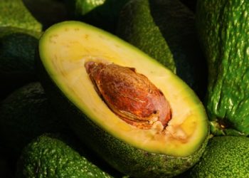 썰자마자 갈변하는 아보카도, 먹어도 괜찮을까