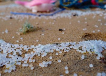 미세 플라스틱 몸에 쌓이는 이유…일상 속 ‘이것’ 때문