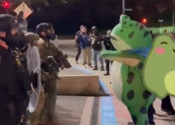 [화제] 오리건 시위대 왜 개구리 복장을 했을까 … 왜?