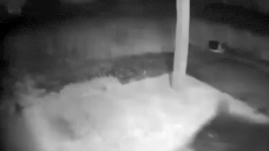 사라진 택배 누가 가져갔나 …CCTV 찍힌 뜻밖의 도둑(영상)