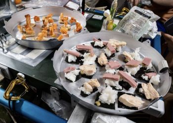 “벨크로로 고정한 스시”…NASA, ‘스페셜 우주메뉴’ 공개