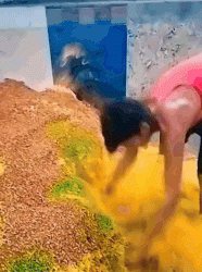 국민간식 ‘남킨’…알고 보니 맨발로 제조?(영상)