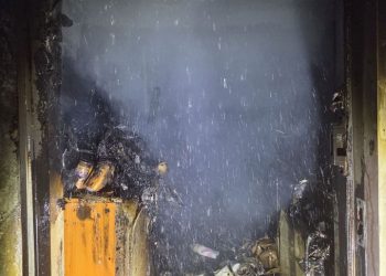 [이런일도] 바퀴벌레 잡으려다 화재 1명 사망 … 20대 여성 체포