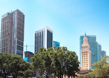 플로리다 법원, 마이애미 트럼프 도서관 건설 제동