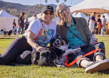 “반려동물 입양하세요” … 로즈볼서 최대규모 입양행사