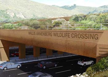 101번 Fwy 10차선 횡단 세계 최대 생태 연결로 내년 개통