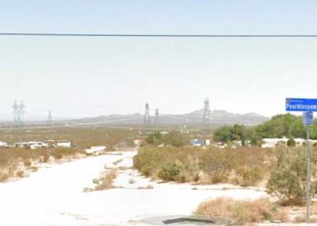 앤틸로프밸리 사막서 시신 무더기 발견 … “개가 시신 물고 와”