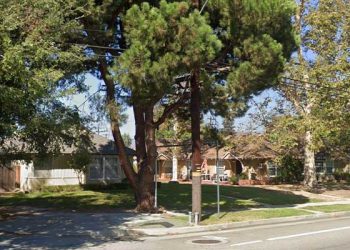 할리웃 절도범, 자전거 던지다 총 맞고 체포