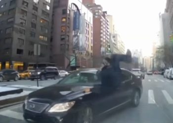 경찰 들이받고 ‘Fxxx’ 욕설…뉴욕 여성 결국 징역형