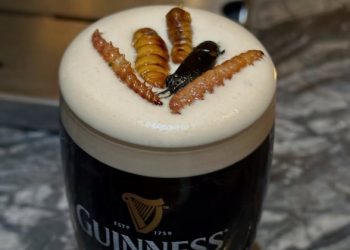 곤충을 마신다?…방콕에 ‘곤충 바’ 등장