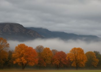 완연한 가을 남가주, 내일 가을 비 … 기온 뚝, 주말 회복