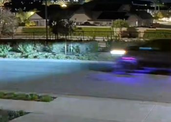 10대 청소년에게 총 겨눈 ICE 요원 체포