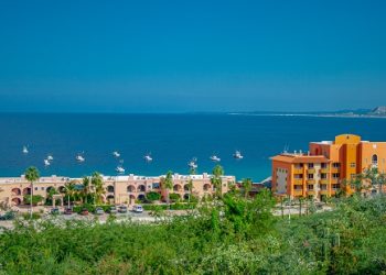 20대 여성의 ‘죽음의 함정’…남성 3명, 바하 해안 참혹하게 살해 “충격”