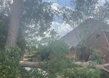 휴스턴 토네이도 강타… 주택 100여 채 폐허, 나무 쓰러져 덮쳐