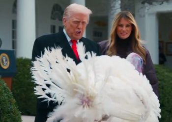 트럼프, 칠면조 사면식서 ‘슈머·펠로시’ 조롱…사면 불가 선언