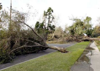 이번주 LA 전역 한파 비상 … 기온 급강하, 강풍 이후 영하권 한파