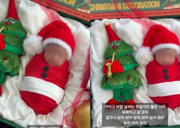 “아기가 장식품?” 이시영, 신생아 딸 공개했다가 논란