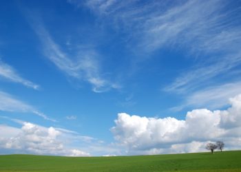 “○○색 좋아하면 우울·불안 가능성 높다”