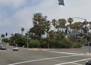 13살 아이 학교 가다 DUI 차에 치여 사망