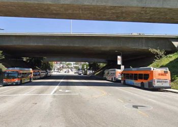 LA메트로 버스기사, 뺑소니 사망 … 어떻게?