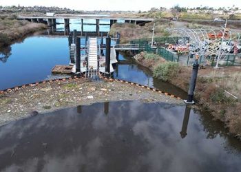 남가주 해안, 폭우에 몰려온 쓰레기 천지