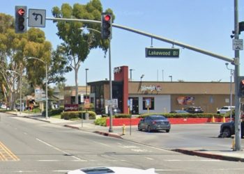 추수감사절 만난 LA 형제, 차에서 말다툼 동생이 형 살해