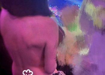 아이돌 콘서트장에 전라 여성 등장 … SNS서 논란