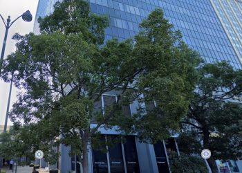 [단독] 한인타운 윌셔가 오피스 연쇄 절도범, 지문에 덜미 잡혔다