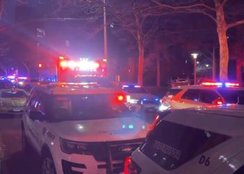 브라운대 시험 중 대규모 총격사건, 11명 사상… 아이비리그 덮친 비극