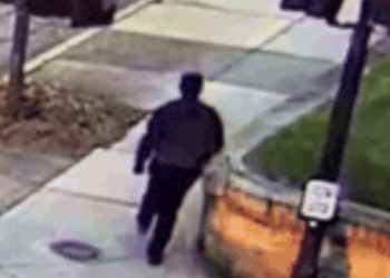 (4보)브라운대 총격 30대 용의자 구금 … 2명 사망·9명 부상