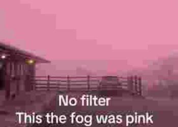 핑크색 안개?…영국 뒤덮은 이것의 정체