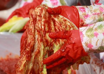 영국 매체가 본 한국 김치의 위기…”중국산 공세에 김치 산업 흔들려”