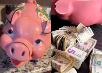 중고 돼지저금통 샀다가 ‘횡재’… 2천 달러 현금뭉치 발견