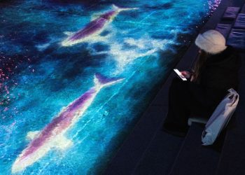 ‘청계 소울 오션’ 150만 명 찾았다