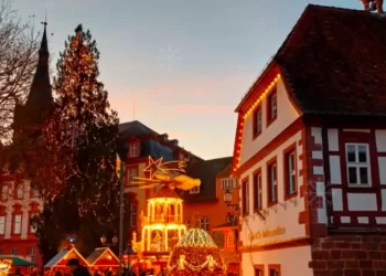 크리스마스마켓 아수라장…당나귀 때리고 대변 테러까지