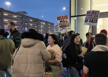 한인 여성, 무사 귀환 … 이스라엘서 불법 구금 후 추방
