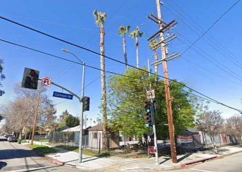 강풍 속 팜트리 가지치기 중 추락, 울타리 찔려 사망