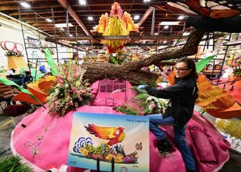 [화제] 화마 딛고 다시 일어서… 로즈퍼레이드 ‘희망의 꽃차’