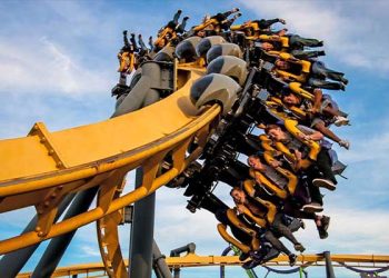 넷플릭스의 워너 인수, 테마파크 판도 재편 … 식스플래그 독점 깨진다