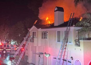 오렌지 카운티 콘도 화재 … 개 세 마리 구조