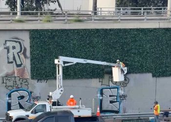 [화제] 하루도 못 간 ‘낙서 방지 아이비’… LA 101번 Fwy. 실험논란